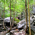 Image Included in Queen the Novel - Rocks at Smugglers Notch Enhanced